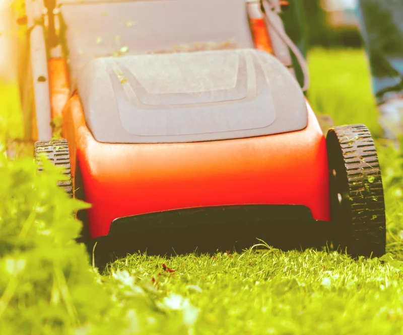 Mantenimiento de jardines